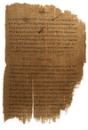 Papyrology Collection.JPG